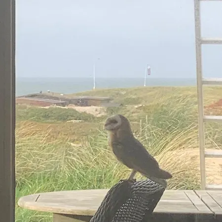 Meerblickhaus Hoppe *